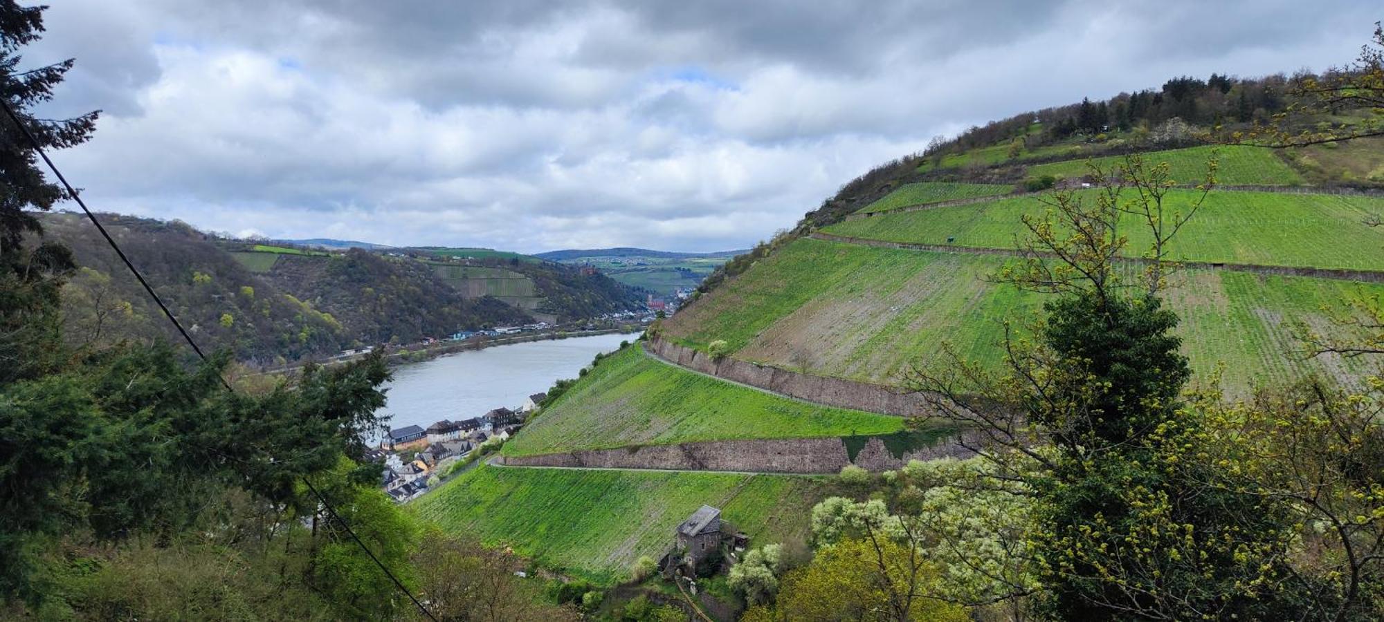 Gemuetliche Wohnung, Kueche, Bad, Netflix, Rheinblick Kaub Exterior foto